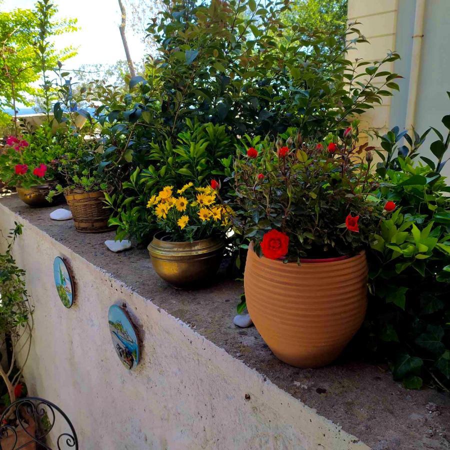 Apartament Casa Di Rosi, Seaview In Corfu Town *